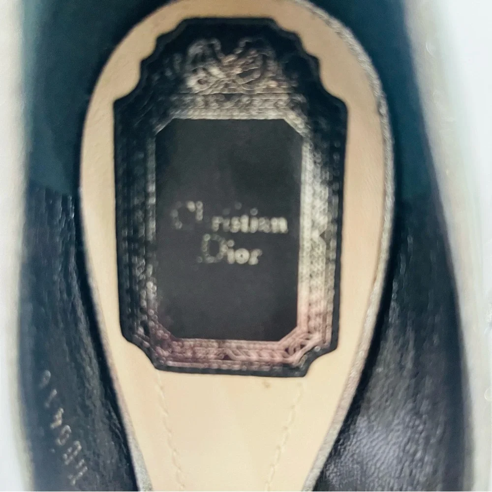 Dior Essence Women's Shimmering Silver Heels